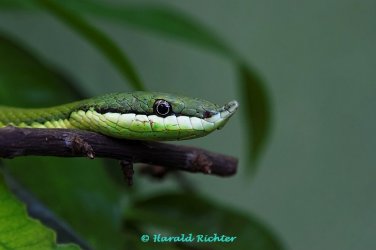 IMG_1053_DxO.jpg