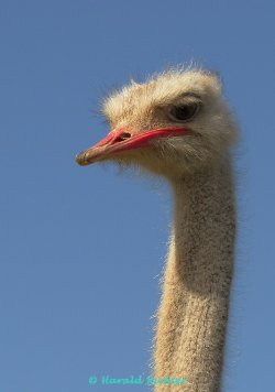 IMG_9987_DxO.jpg