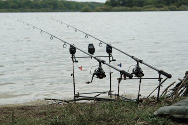 Etang de Vaux - 2008 - 001.jpg