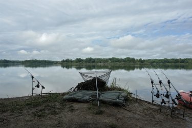 Etang de Vaux - 2008 - 008.jpg