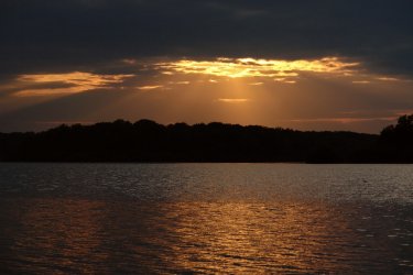 Etang de Vaux - 2008 - 036.jpg