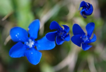 DSC_0676.jpg