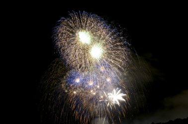 DSC_1380.jpg