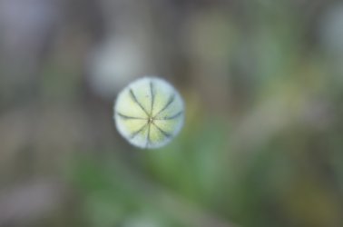 DSC_1882.jpg