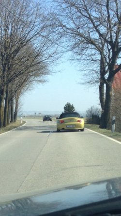 ImageUploadedByzroadster.com1394367135.219020.jpg