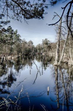 festblick-08-6.jpg