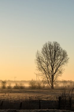 festblick-marsch-a.jpg
