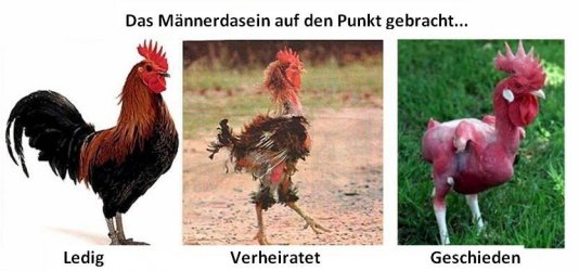 maennerdasein.jpg