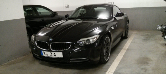 blackbeauty.png
