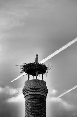 festblick-wiesbaden-16-3.jpg