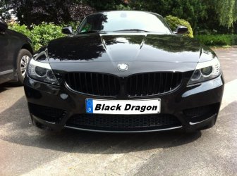 Black-Dragon.jpg Black-Dragon.jpg