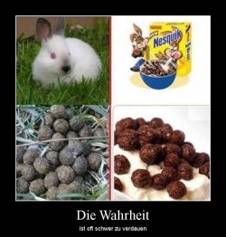 Die_Wahrheit.jpg