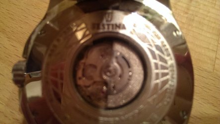IMAG0565.jpg