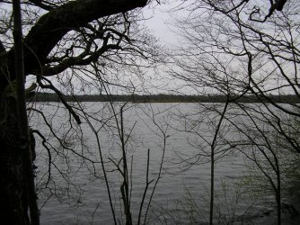 P1010035.JPG