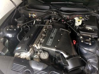 IMG_4599 (Large).JPG
