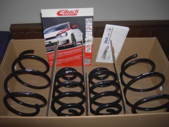 Eibach Pro Kit.JPG