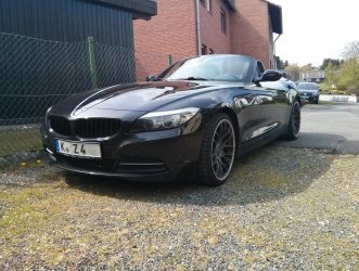 blackbeauty.jpg