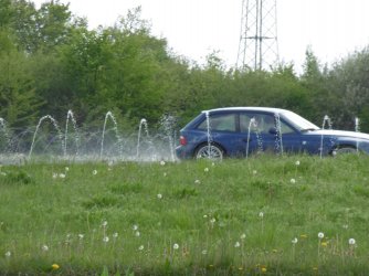 Foto 1.jpg