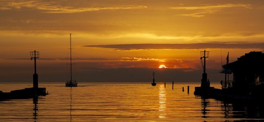 DSC_6497.jpg