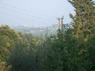 Blick auf Siena.JPG