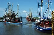 Hafen_Dorum_Kutter.jpeg