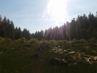 2014-05-04 16.28.15.jpg