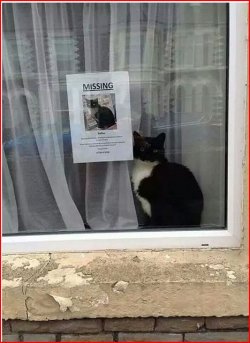 Aufzeichnen.JPG