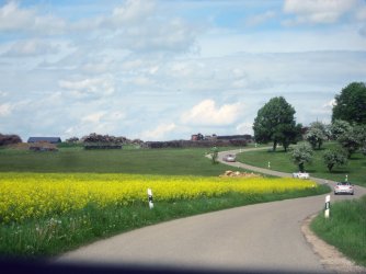 IMG_0050.jpg
