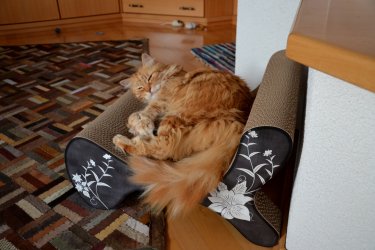 DSC_6108.JPG