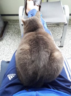 20140517_075852.jpg