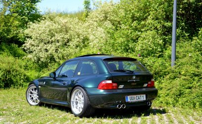 DSC_6133.JPG