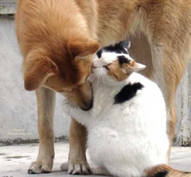 upload_2014-5-22_16-52-28.png