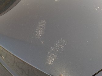 2014-05-22 19.50.10.jpg