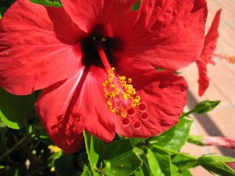 IMG_0557.JPG