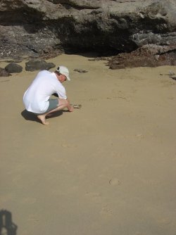 Fuerte 2004 241.jpg