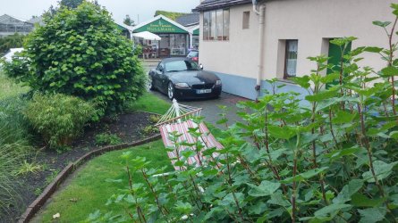 20140527_140655_HDR.jpg