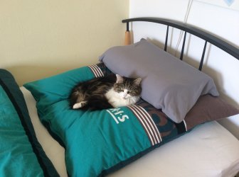 Foto 1.JPG