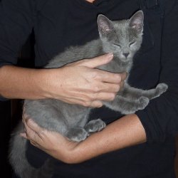 image.jpg