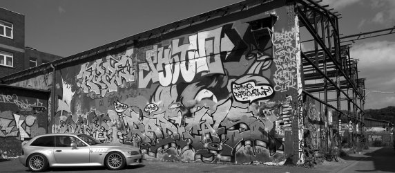 DSC_3397_g.jpg