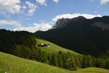 k DSC_5350.jpg k DSC_5350.jpg