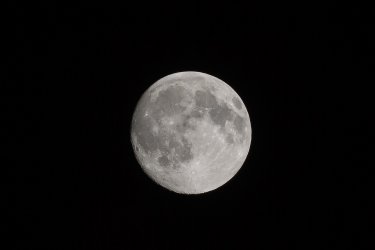 IMG_0003.jpg