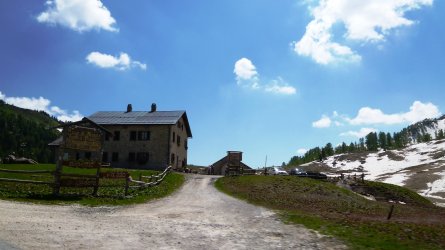Martl 005.jpg