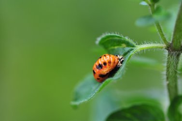 DSC_3567.jpg