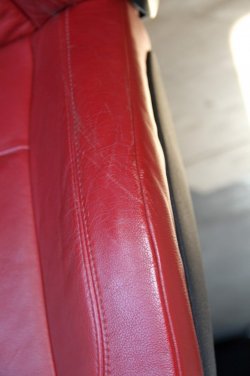 IMG_8811.JPG