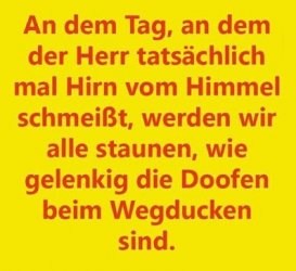 Hirn.jpg