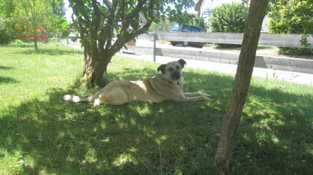 IMG_6516n.jpg