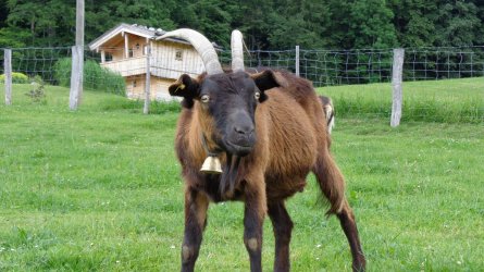 DSC00197.jpg DSC00197.jpg