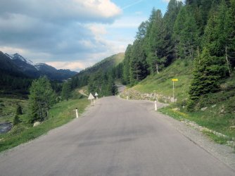 IMG_0963.jpg