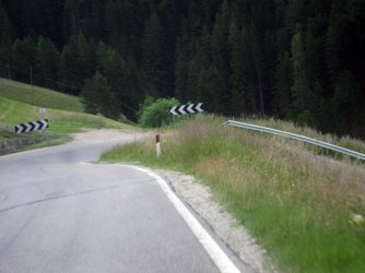 IMG_0992.jpg