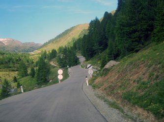 IMG_1159.jpg